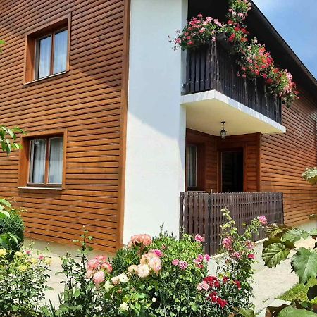 Aleksandar Apartmani パレ エクステリア 写真