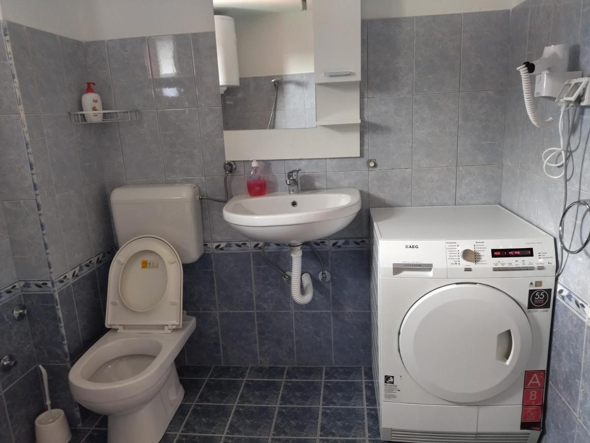 Aleksandar Apartmani パレ エクステリア 写真